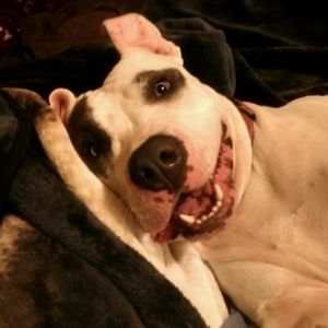 Meet your Posher, Ann